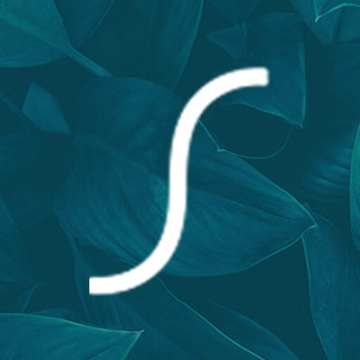 Spruce Salon Spruce Salon